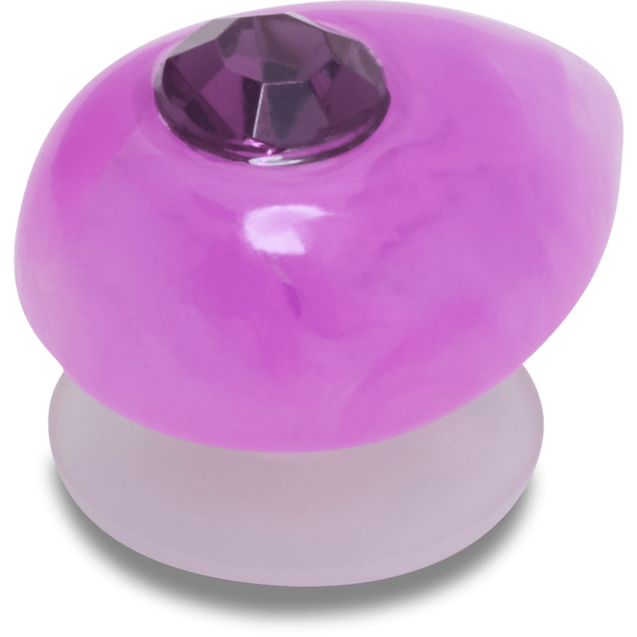 Crocs Amethyst February Birthstone Collection Jibbitz™ charms Sale