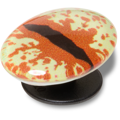 Crocs | Hazel Animal Eye Jibbitz™ charms Sale