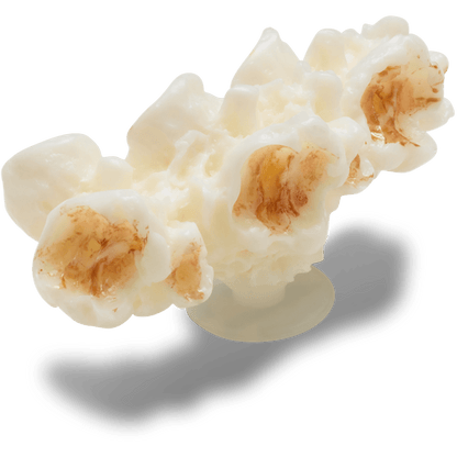 Crocs Realistic Popcorn 2 Jibbitz™ charms Sale